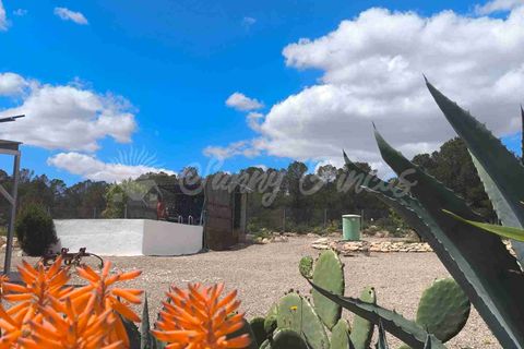 Landejendom i Yecla, Murcia, Yecla - € 225.000 | Ref: SF0527 - foto 24